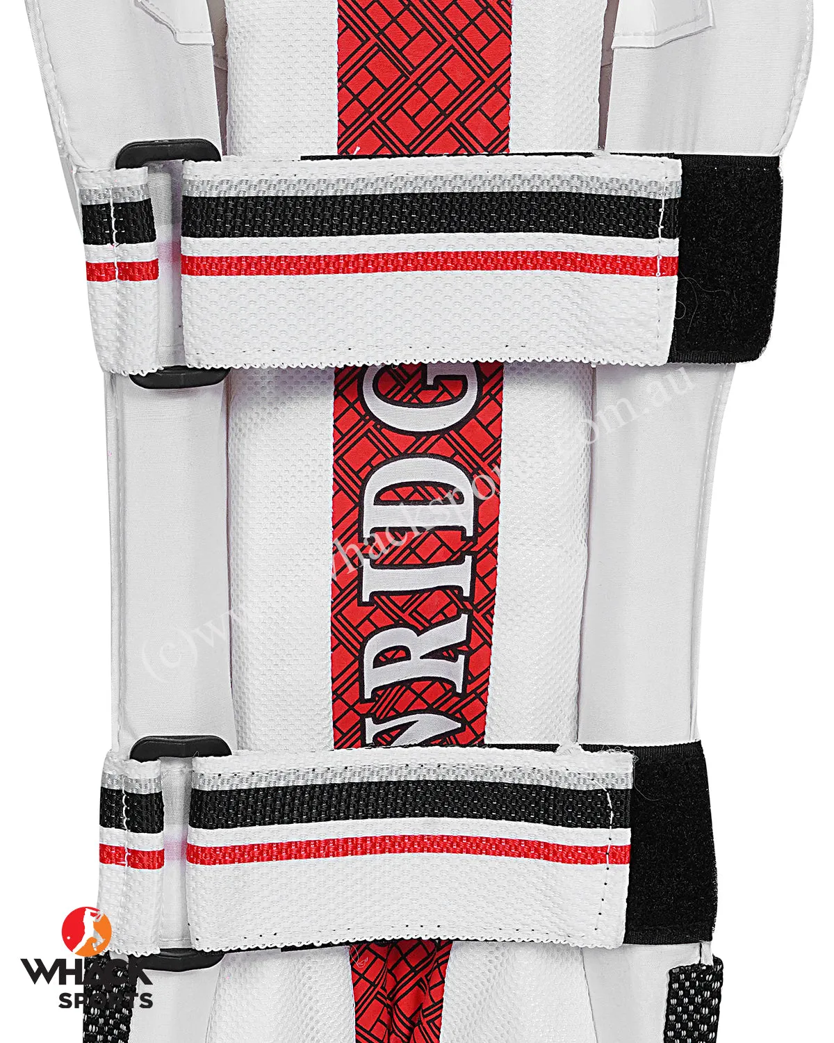 SS Limited Edition Cricket Keeping Pads - Boys/Junior