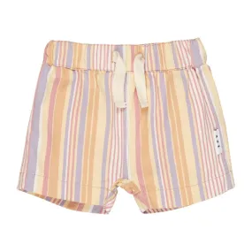 Vintage Stripe Chino Short